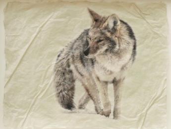 Mousing (Small) by Pete Zaluzec