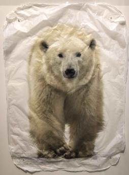 Polar Bear (Large) by Pete Zaluzec