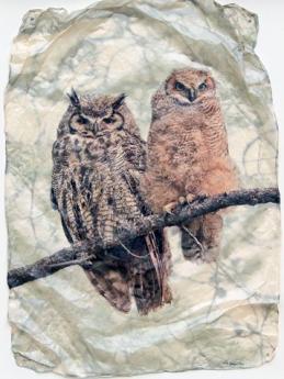 Owls (Small) by Pete Zaluzec