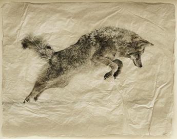 Leap by Pete Zaluzec
