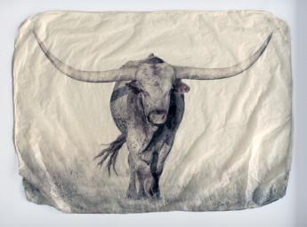 Longhorn by Pete Zaluzec