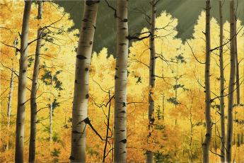 Aspen Canyon by Alexander Volkov