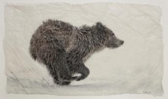 Running Grizz (Small) by Pete Zaluzec