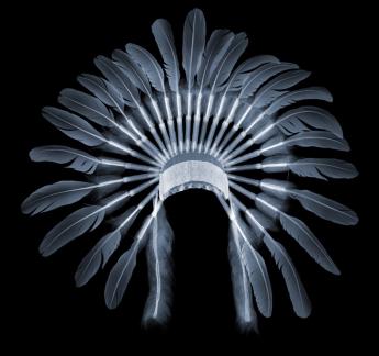 Headdress by Nick Veasey