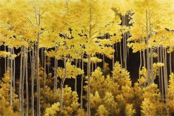 Aspen Light by Alexander Volkov