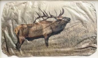 Elk Bugle (Small) by Pete Zaluzec