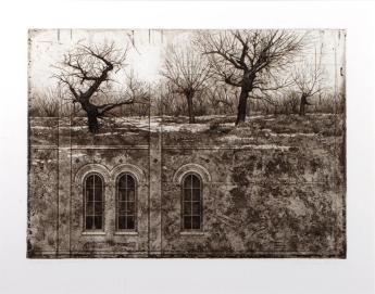 Cottonwoods AP by David  Smith-Harrison