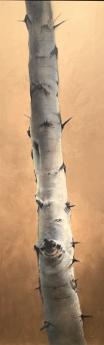 Golden Aspen I by P. Colby Myer