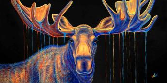 Moosedance by Teshia