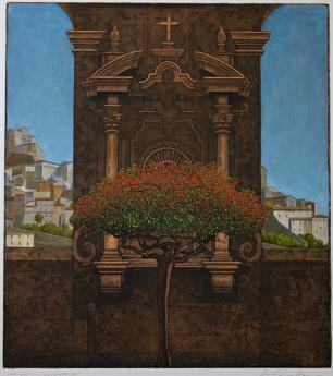 Cotoneaster by David  Smith-Harrison