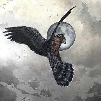 Night Hawk by P. Colby Myer