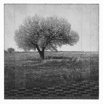 Two Trees with Perspective II by David  Smith-Harrison