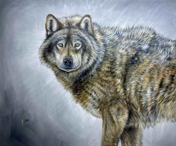 Wild Eyes by Teshia