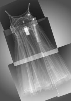 Molly's Dress by Nick Veasey