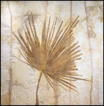 76" Au Palm Frond Mural #8348 by Fossils