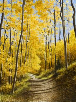 Aspen Path by Alexander Volkov