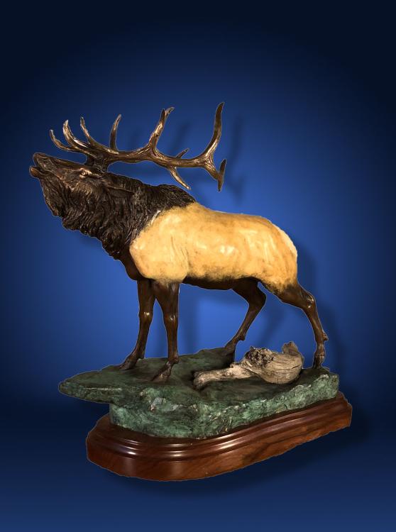 Bugle Call AP by Lorenzo & Laran Ghiglieri