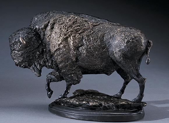 Bison by Mark Hopkins
